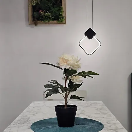 Roomy Apartamento Tirana