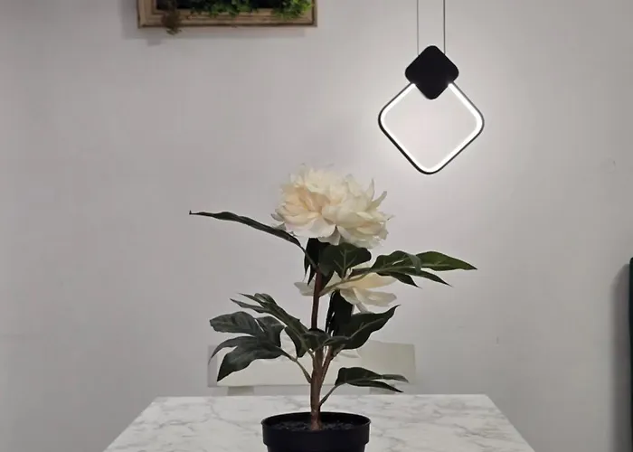 Roomy Apartmán Tirana
